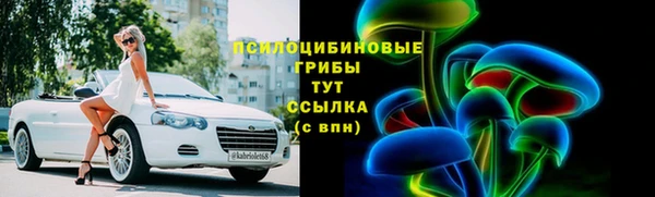 mdma Новодвинск