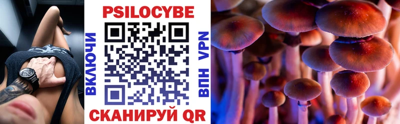Псилоцибиновые грибы Psilocybine cubensis  Петушки 